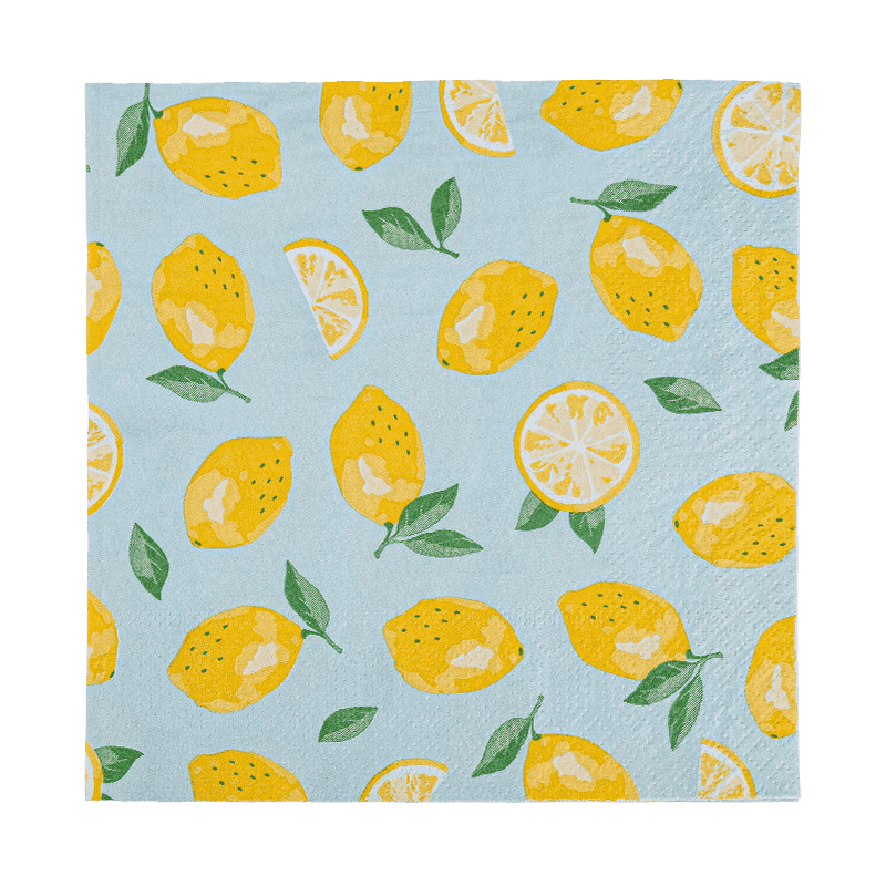 33x33 Tam baskı 2 katlı kağıt peçeteler kağıt friut desen sj5101