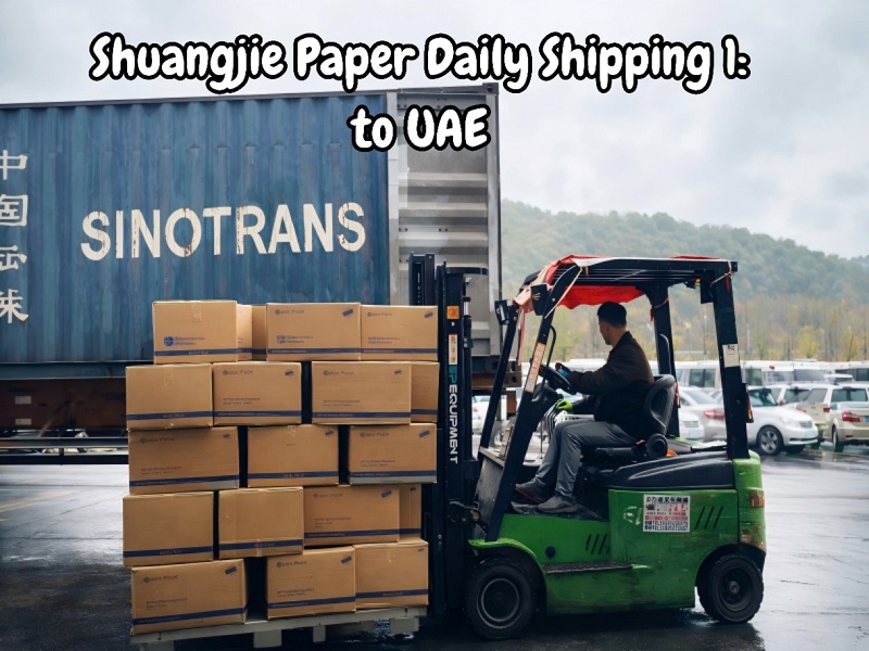 Shuangjie Paper, Ningbo Limanı'ndan BAE'ye Airlaid Peçetelerin Dolu Konteynerini Gönderdi